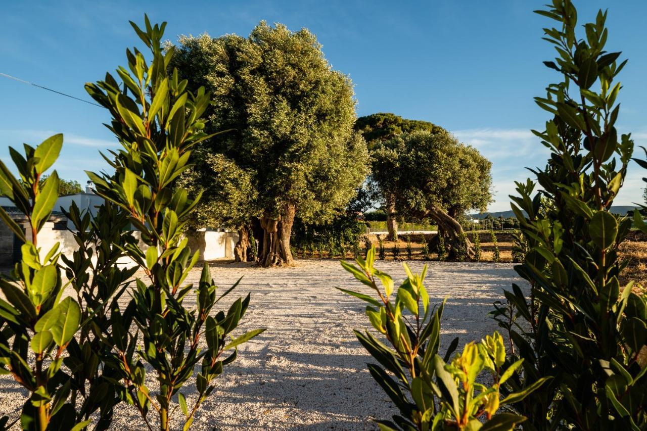 Villa Il Pergolato Sul Mare à Monopoli Extérieur photo